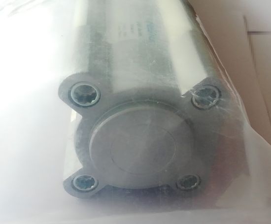Hot Festo Pneumatic Cylinder Original Dsbc-40-195-Ppva-N3