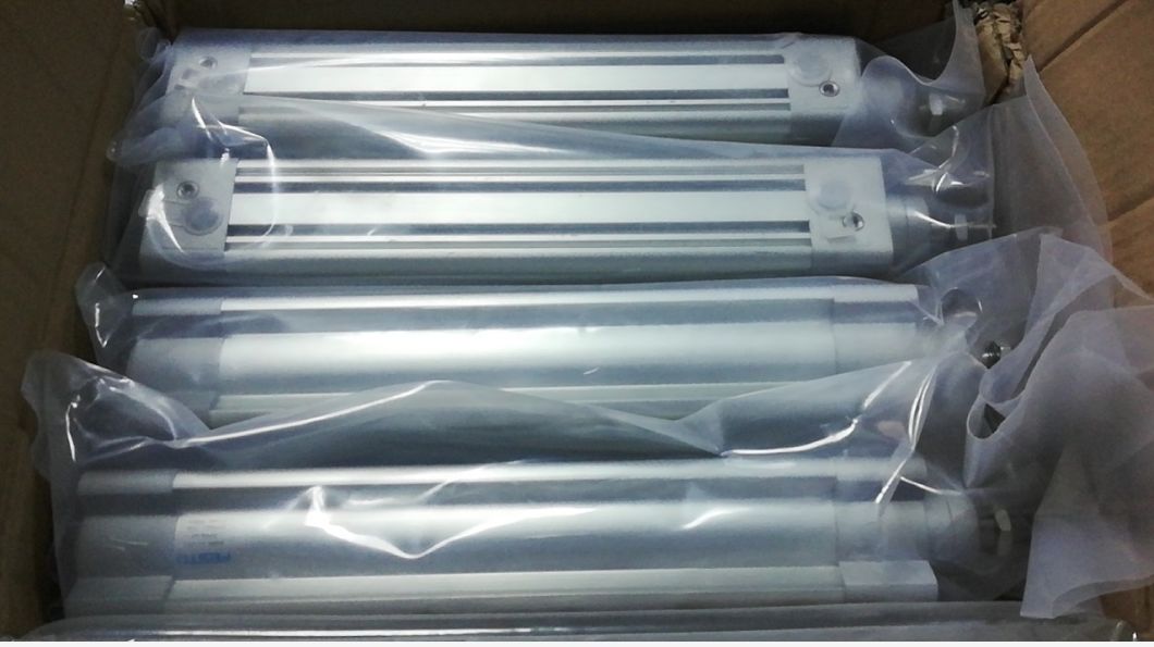 Hot Festo Pneumatic Cylinder Original Dsbc-40-195-Ppva-N3